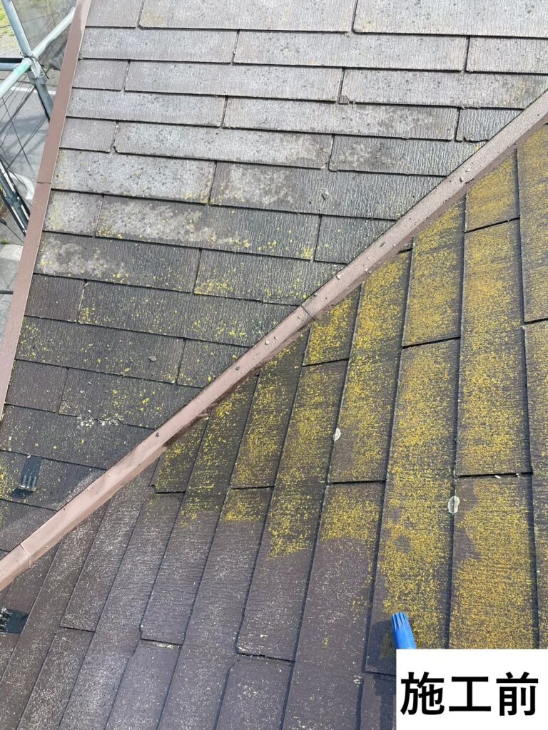 屋根のつなぎ目部分の汚れも見られます。苔カビがひどい状態です。